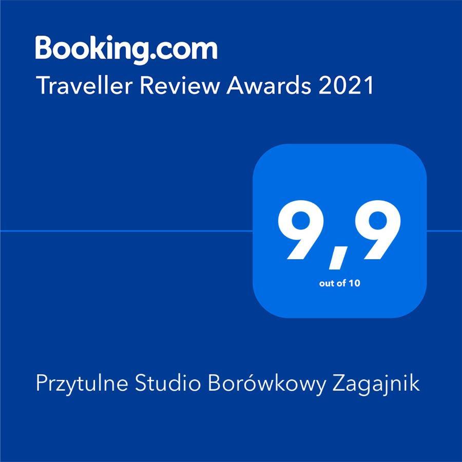 Przytulne Studio Borowkowy Zagajnik Piechowice  Luaran gambar