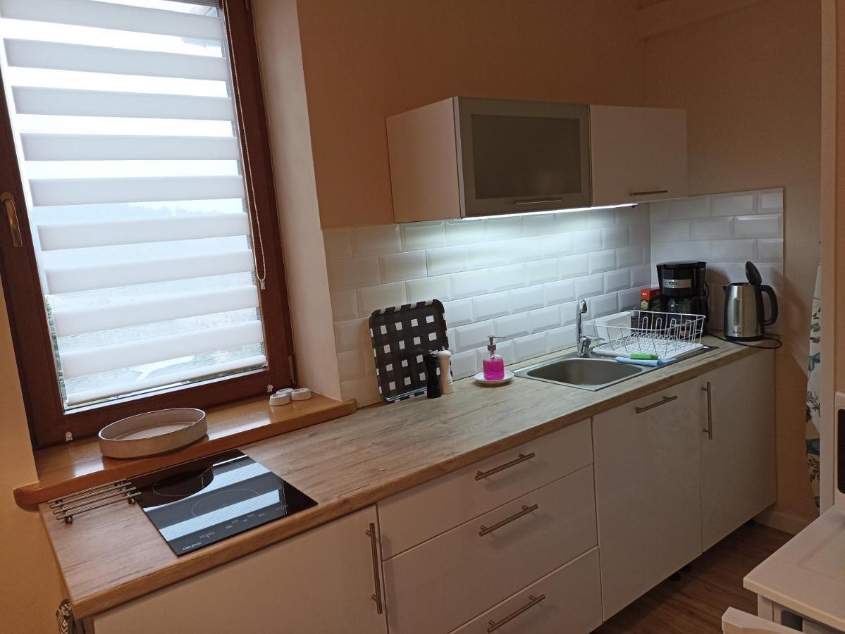 Przytulne Studio Borowkowy Zagajnik Piechowice  Luaran gambar