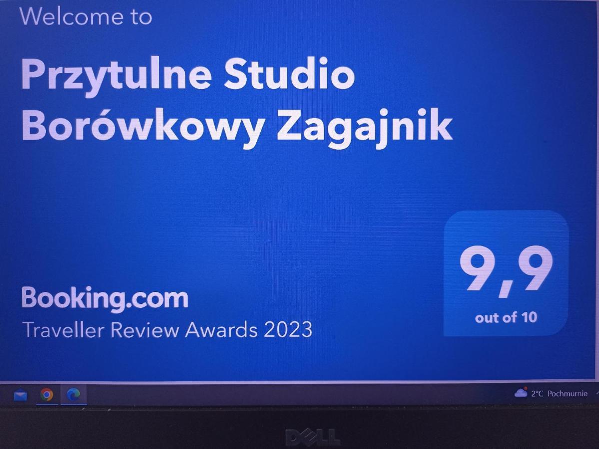Przytulne Studio Borowkowy Zagajnik Piechowice  Luaran gambar